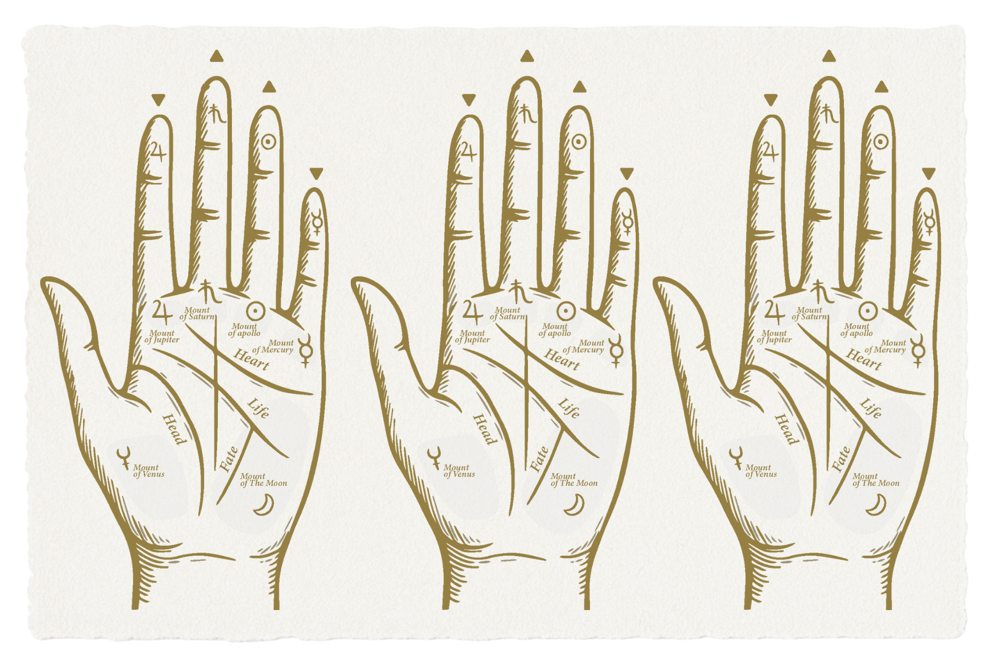 Palmistry: Hands Hold Keys to Your Patterns 1 Practical Palmistry