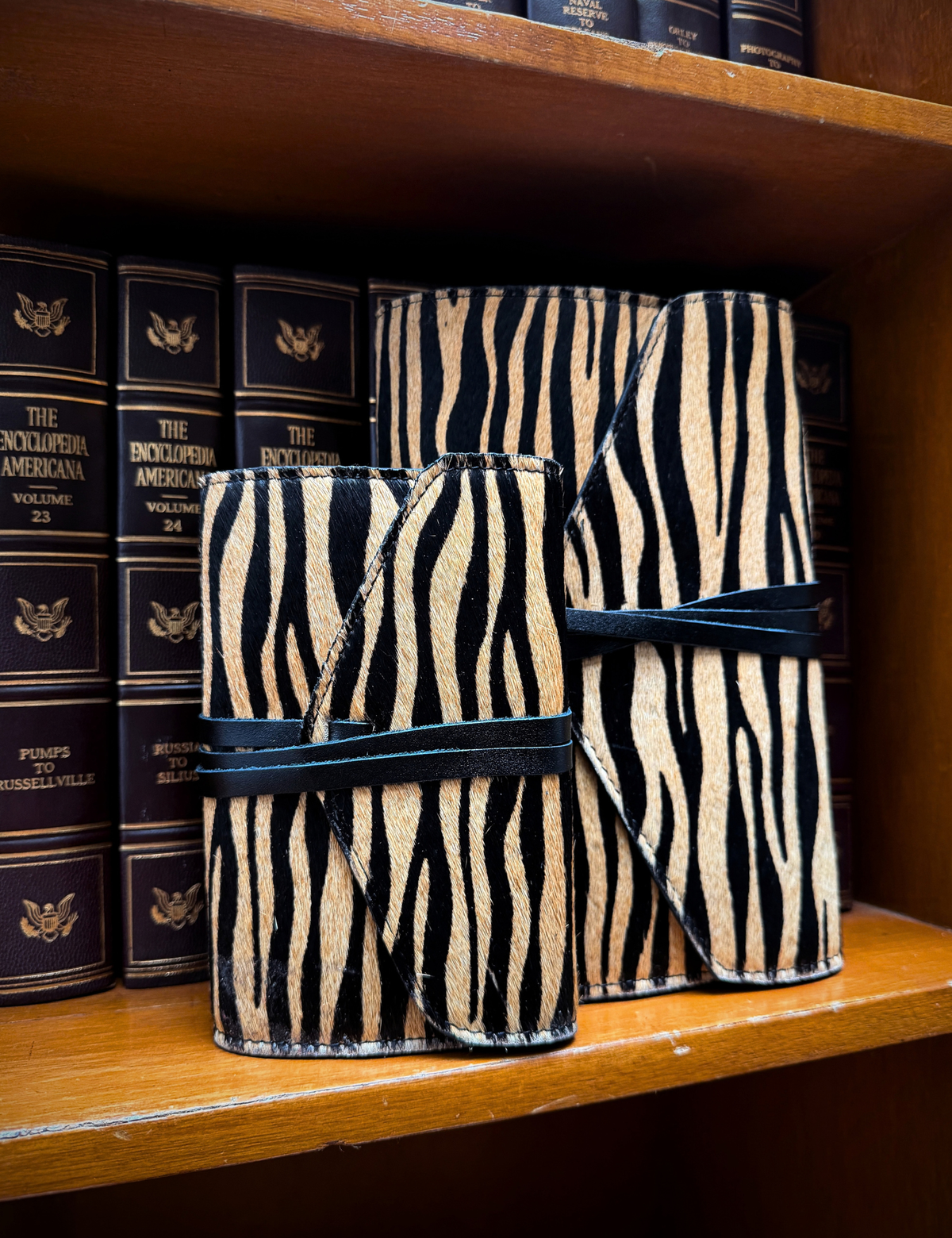 The Private Archive Journal Tiger